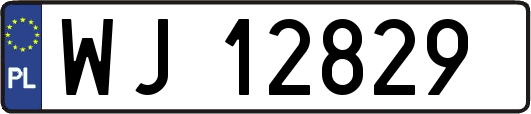 WJ12829