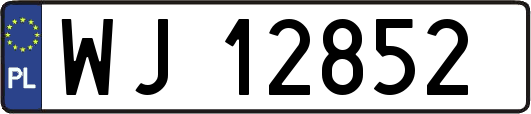 WJ12852