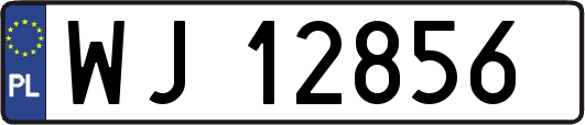 WJ12856