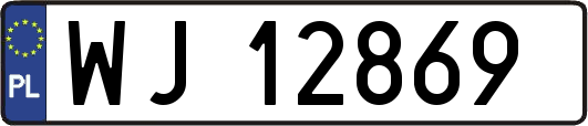 WJ12869