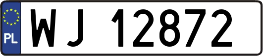 WJ12872