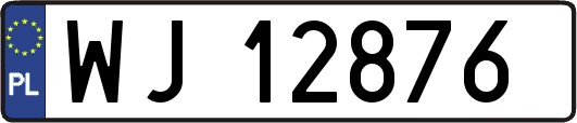 WJ12876