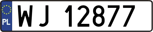 WJ12877