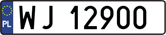 WJ12900