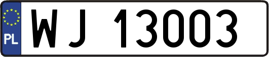 WJ13003