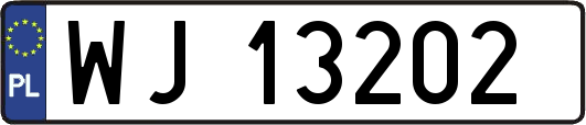 WJ13202