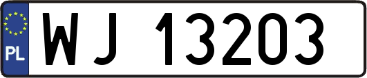 WJ13203