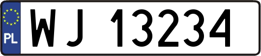 WJ13234