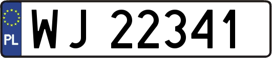 WJ22341