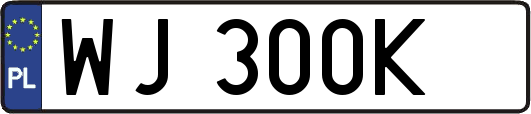 WJ300K