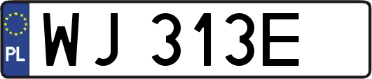 WJ313E