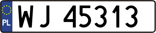 WJ45313