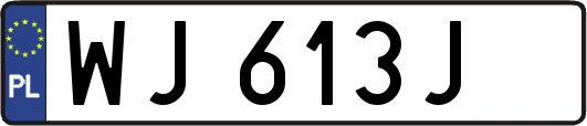 WJ613J