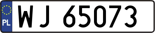 WJ65073