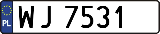 WJ7531
