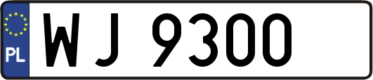 WJ9300
