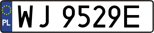 WJ9529E