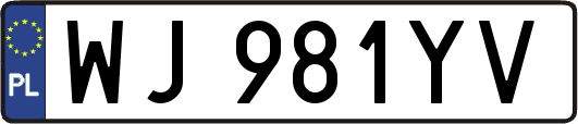 WJ981YV