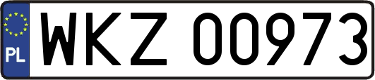 WKZ00973