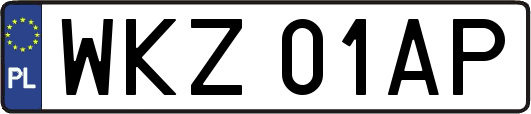 WKZ01AP