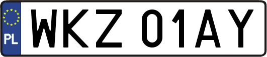 WKZ01AY