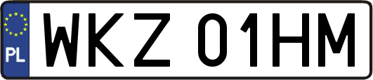 WKZ01HM