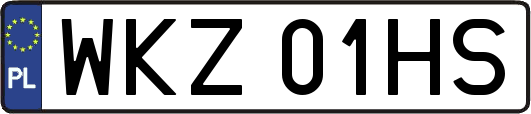 WKZ01HS