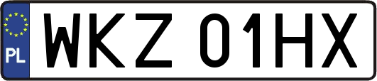 WKZ01HX