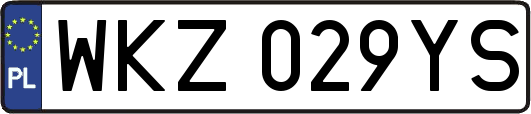 WKZ029YS