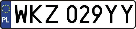 WKZ029YY