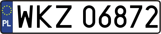 WKZ06872