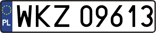WKZ09613