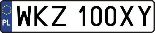 WKZ100XY
