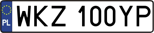 WKZ100YP