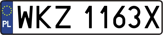 WKZ1163X