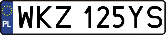 WKZ125YS