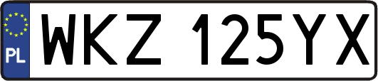 WKZ125YX