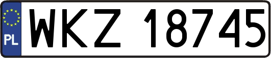 WKZ18745