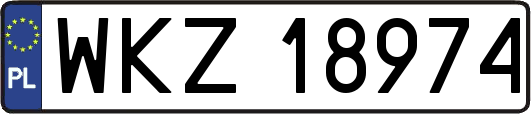 WKZ18974