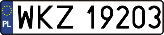 WKZ19203