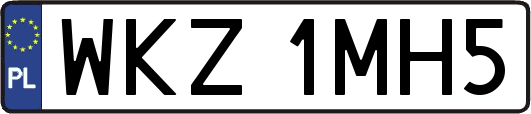 WKZ1MH5