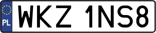 WKZ1NS8