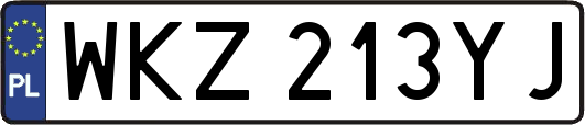 WKZ213YJ
