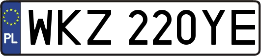 WKZ220YE