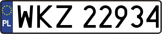 WKZ22934