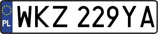 WKZ229YA