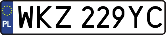 WKZ229YC