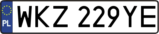 WKZ229YE