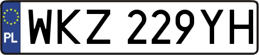 WKZ229YH