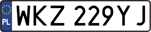 WKZ229YJ
